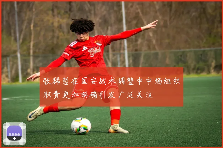 张稀哲在国安战术调整中中场组织职责更加明确引发广泛关注